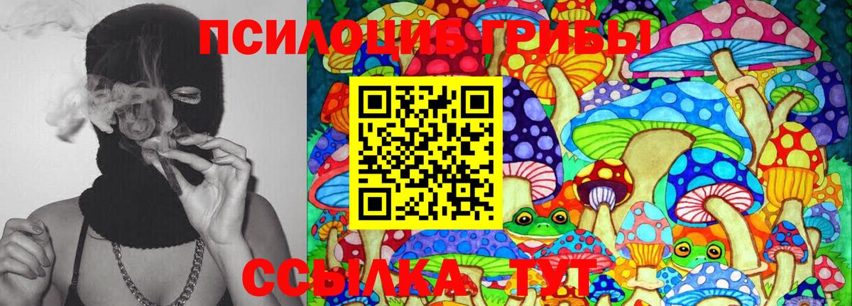 Гурьевск  Галлюциногенные грибы Psilocybine cubensis  Вход с VPN 